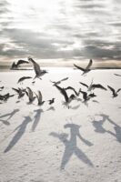 hábitos atómicos te permiten despegar