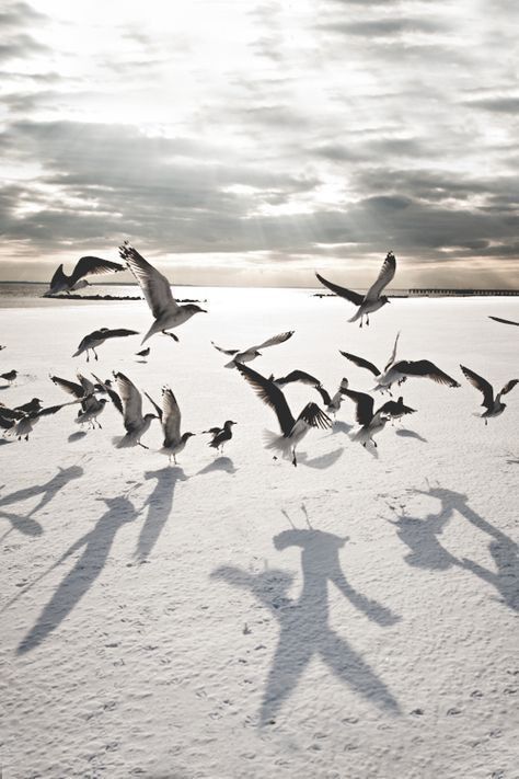 hábitos atómicos te permiten despegar