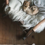 Minimalismo y hábitos hyggie para simplificar tu vida sin perder comodidad. H